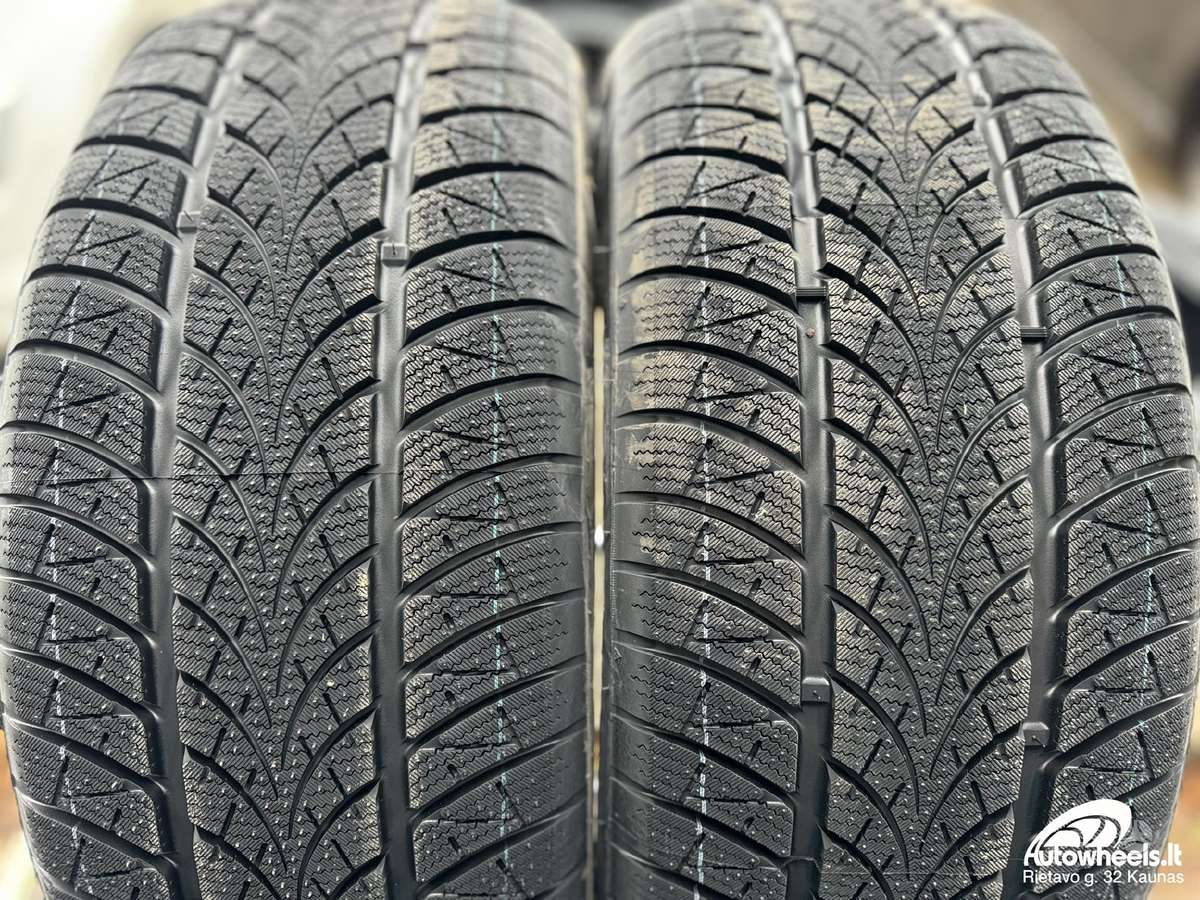 Triangle Winter X TW401, žieminės 225/50 R17