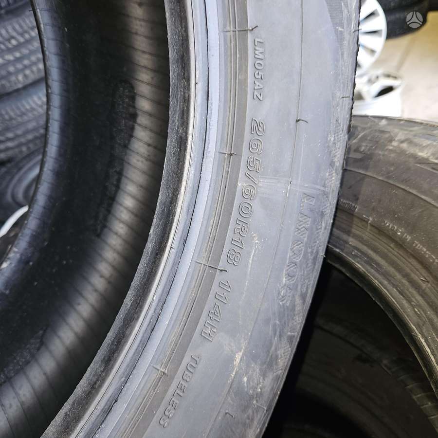 Bridgestone, winter 265/60 R18