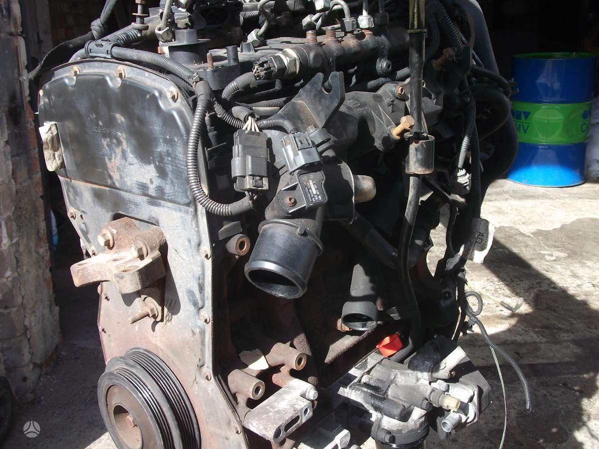 Citroen Jumper pistons, cylinder head