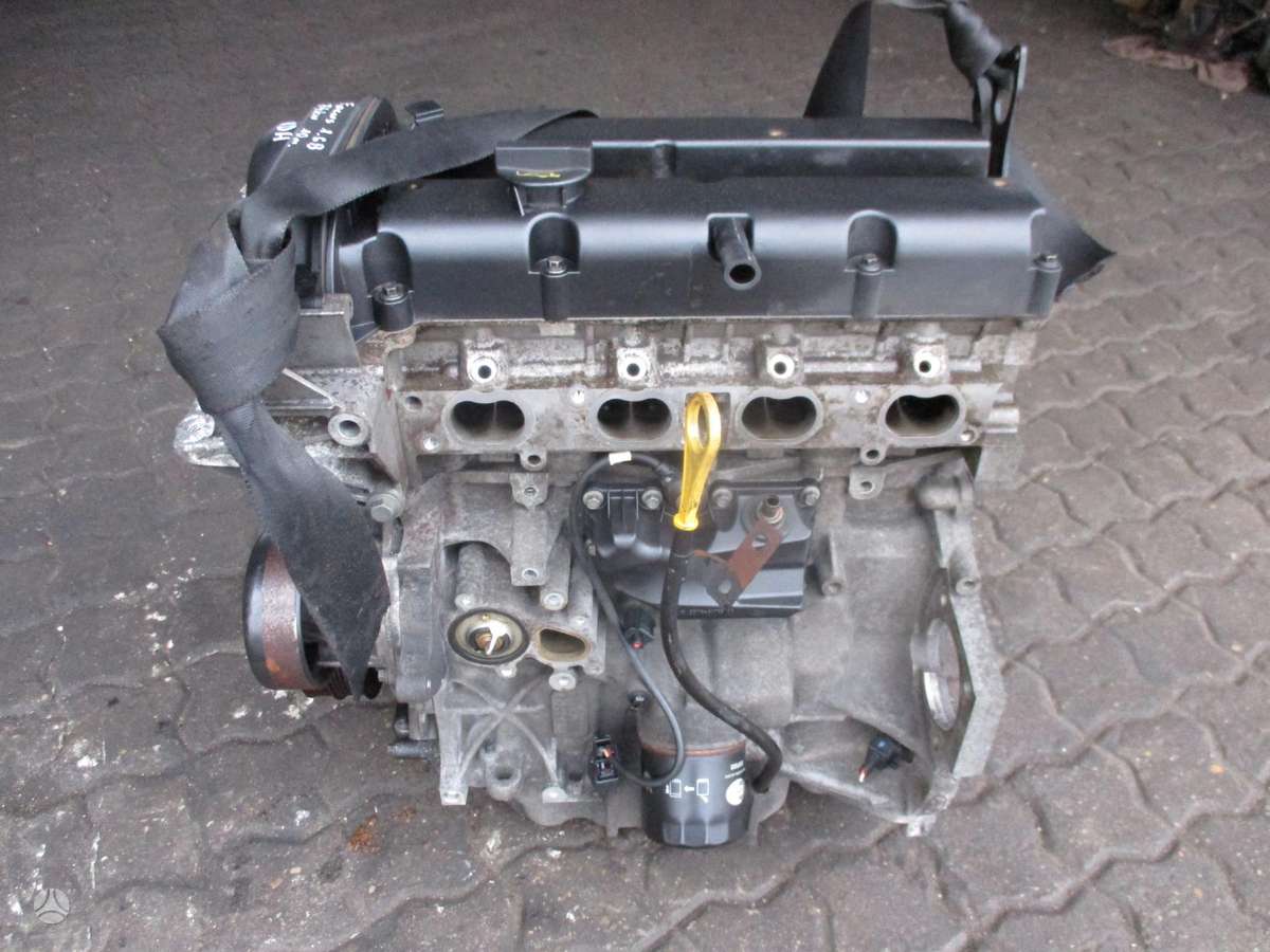 Ford Focus Variklis 1 6b hwda