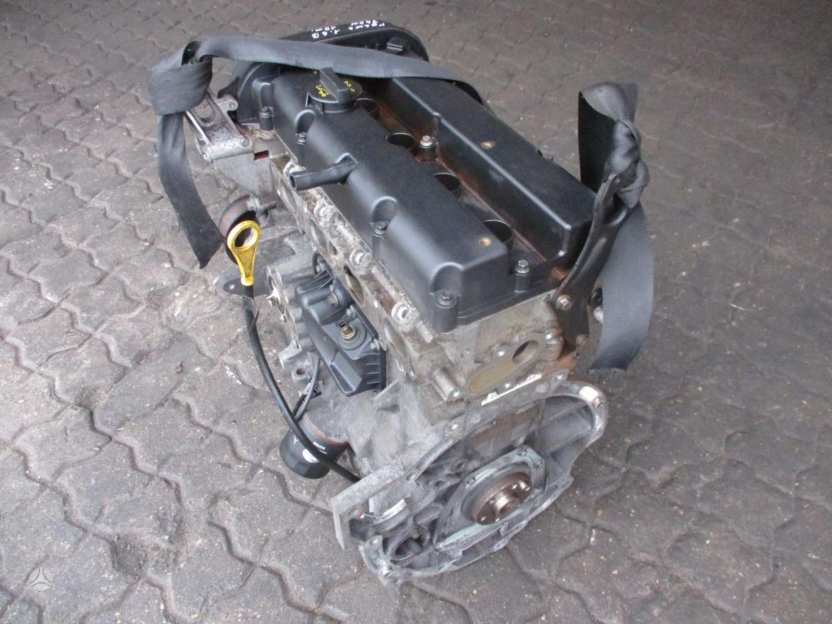 Ford Focus Variklis 1 6b hwda
