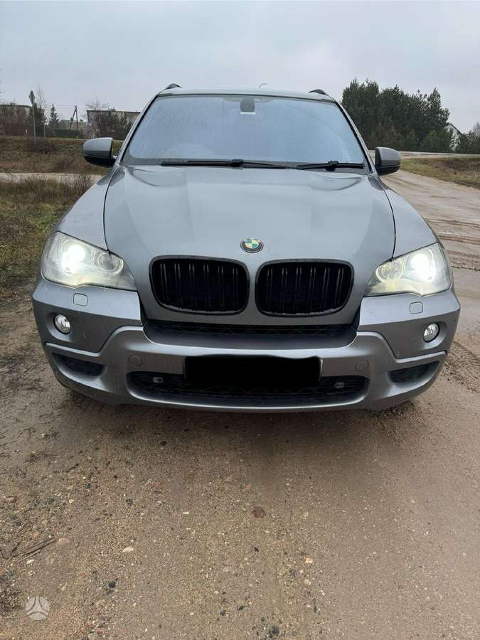 BMW X5 dalimis