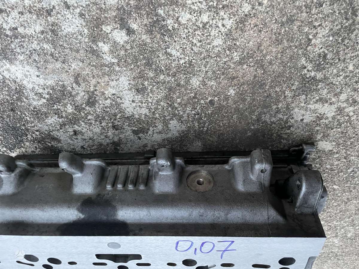 Volkswagen Passat variklio galvutė