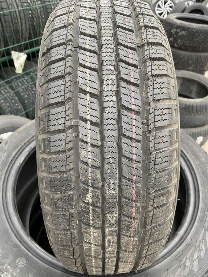 Minerva Ice-Plius, зимние 185/60 R14