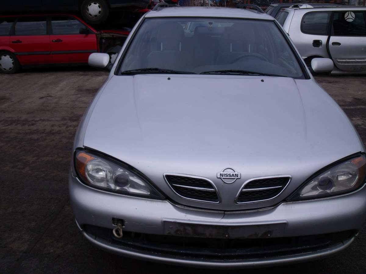 Nissan Primera Dalimis