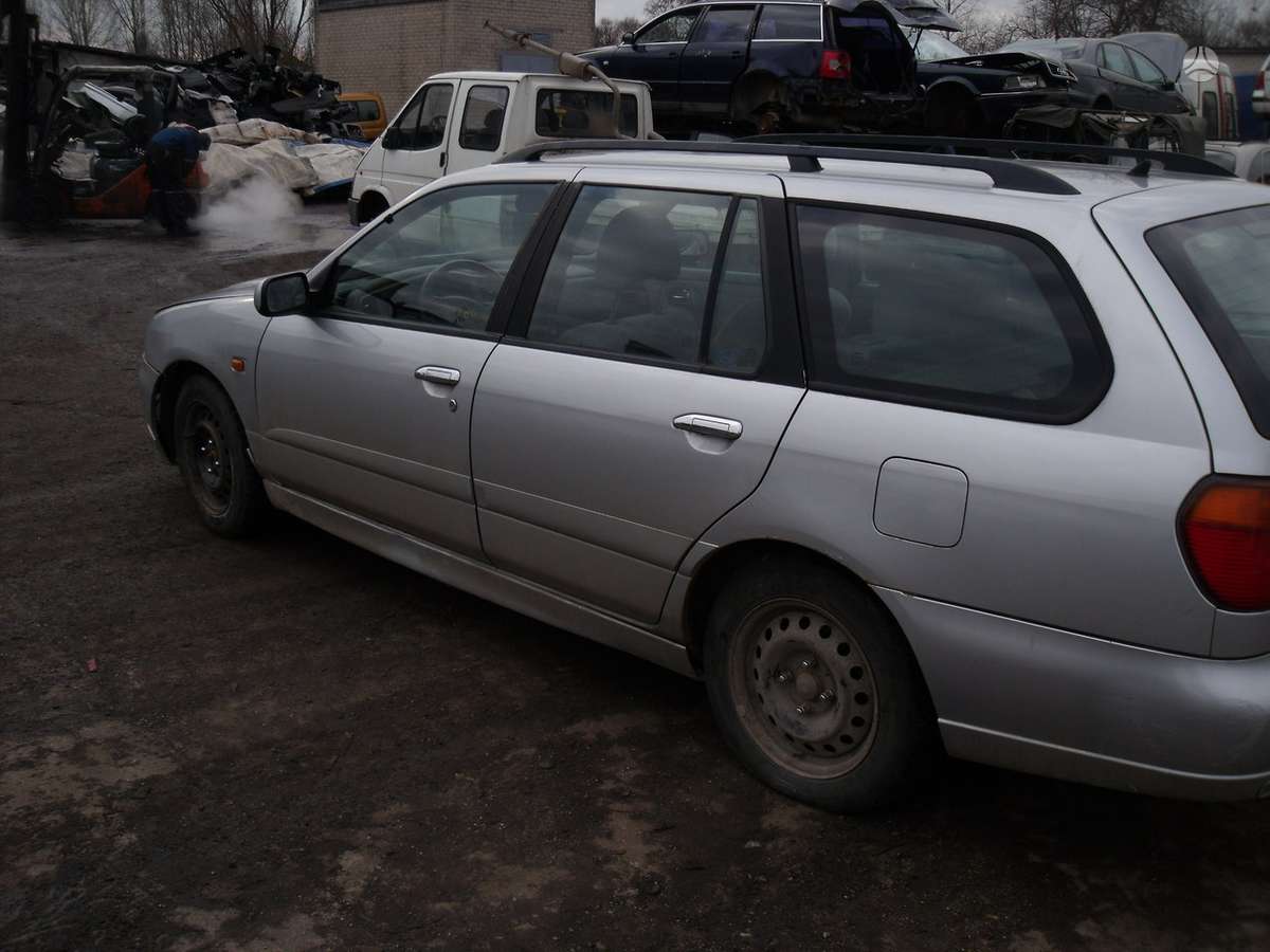 Nissan Primera Dalimis