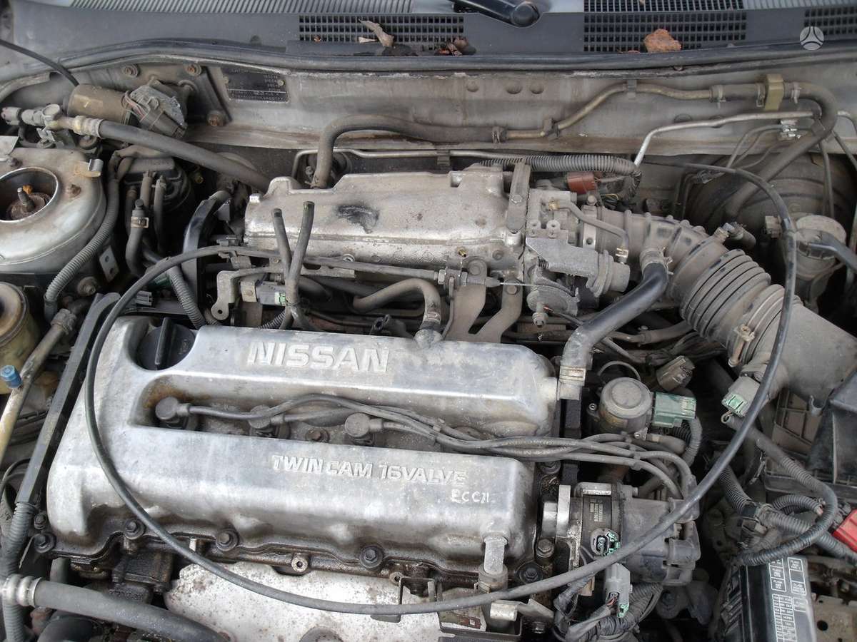 Nissan Primera Dalimis