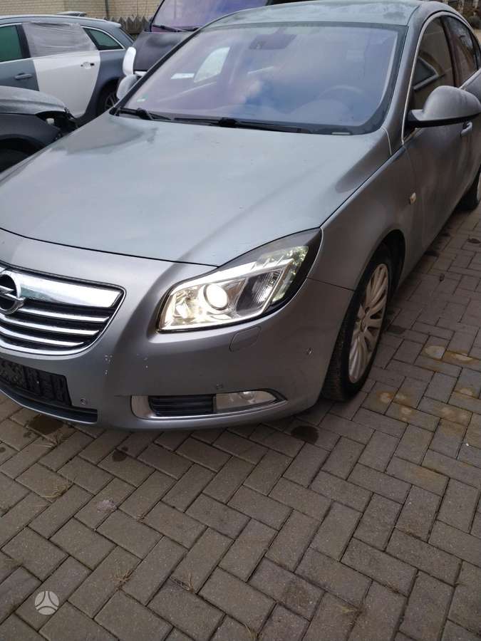 Opel Insignia Spalva 179