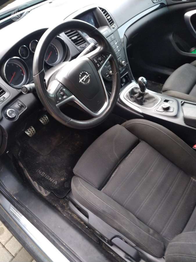 Opel Insignia Spalva 179