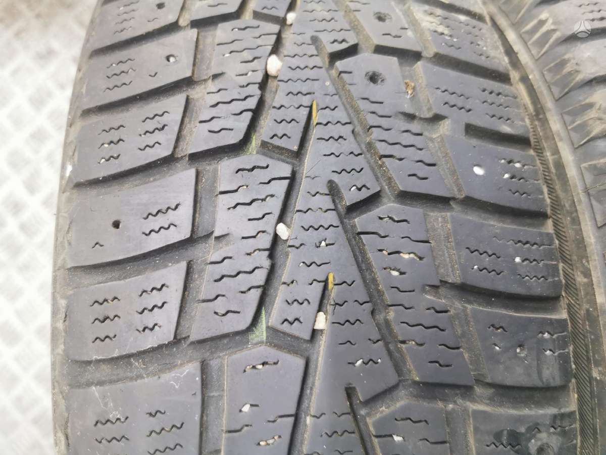 Roadstone, žieminės 195/65 R15