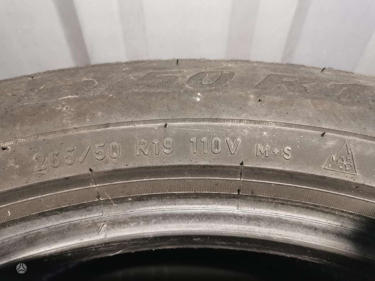 Pirelli Scorpion, žieminės 265/50 R19