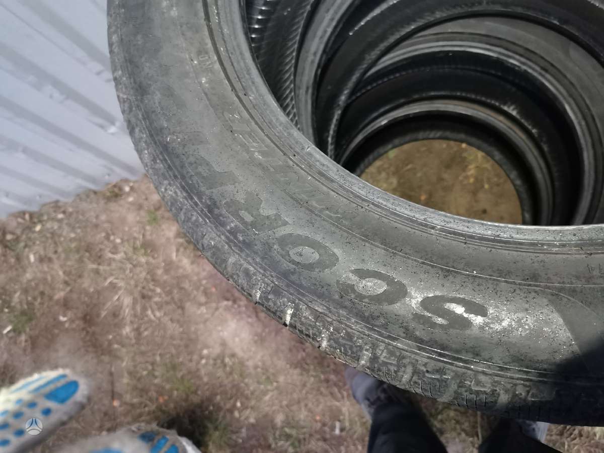 Pirelli Scorpion, žieminės 265/50 R19
