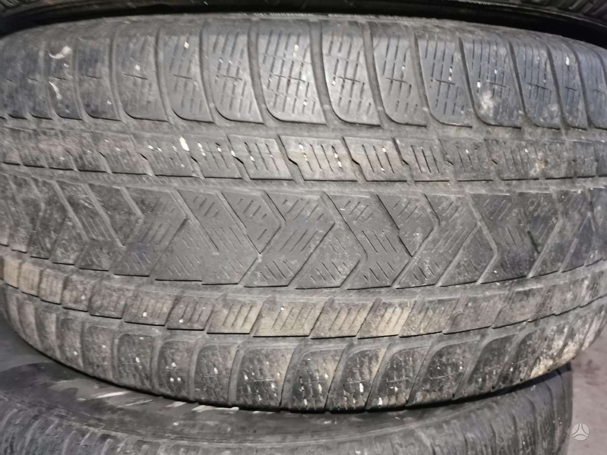 Pirelli Scorpion, žieminės 265/50 R19