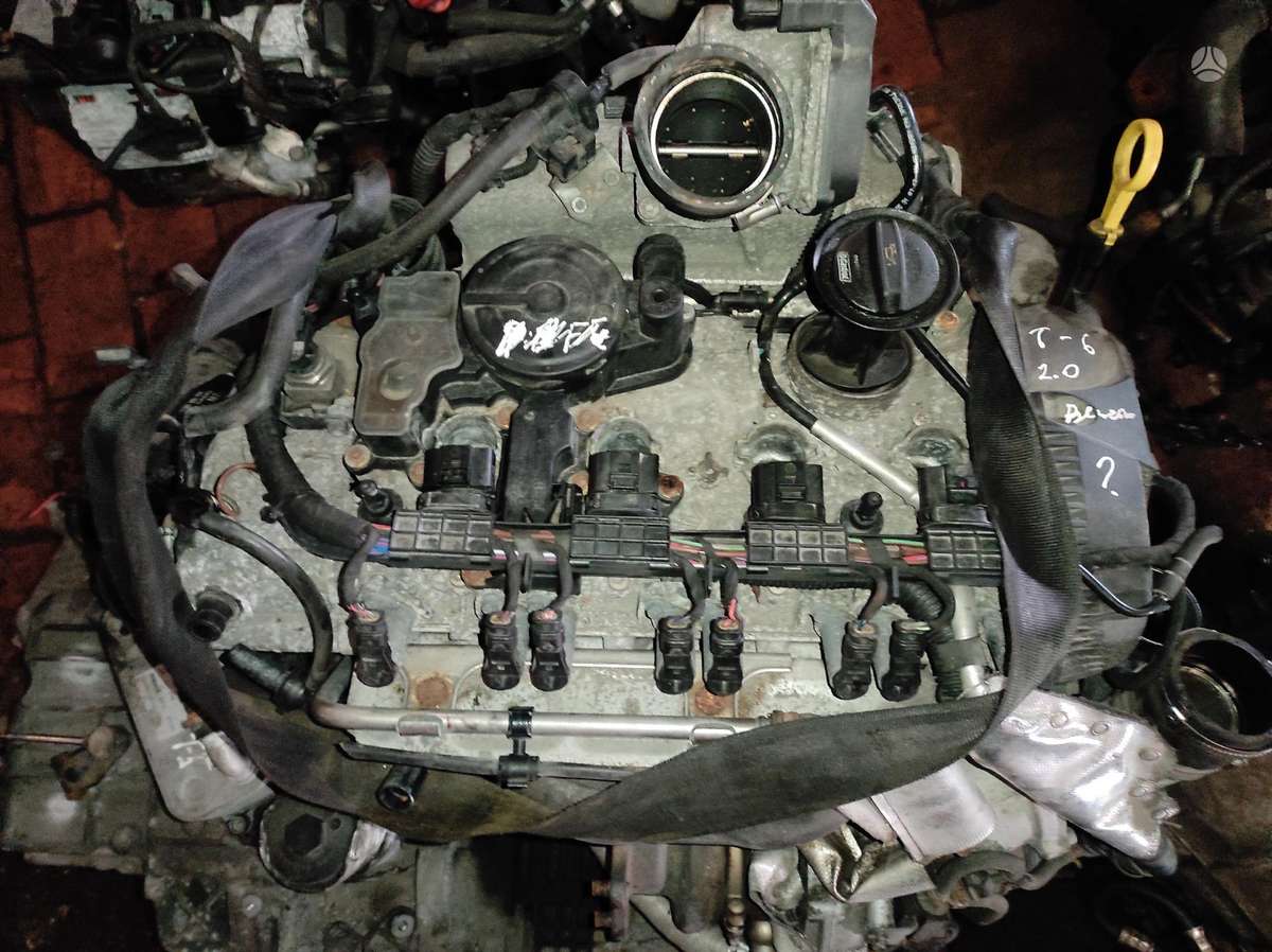 Volkswagen Transporter Tik variklis dėžė