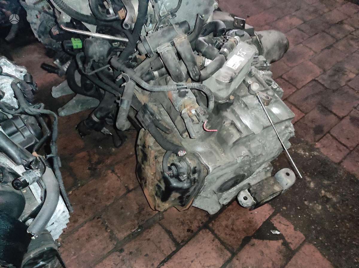 Volkswagen Transporter Tik variklis dėžė