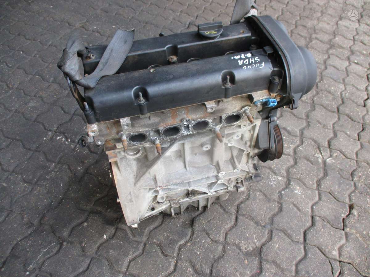 Ford Focus Variklis 1 6b shda