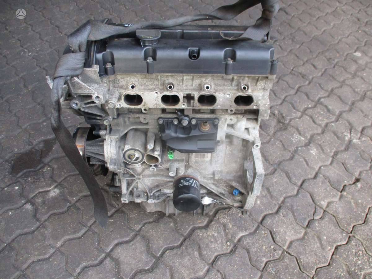 Ford Focus Variklis 1 6b shda