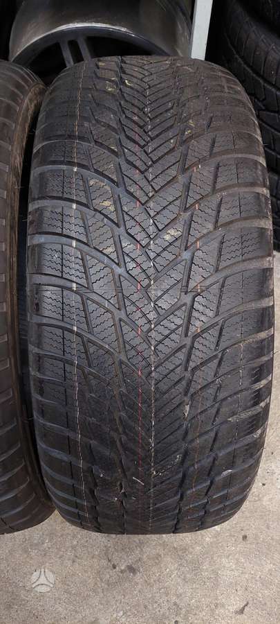 Bridgestone, žieminės 255/50 R20