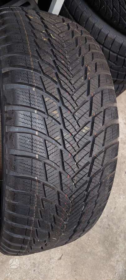 Bridgestone, žieminės 255/50 R20