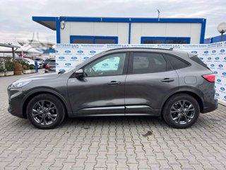 Ford Kuga dalimis