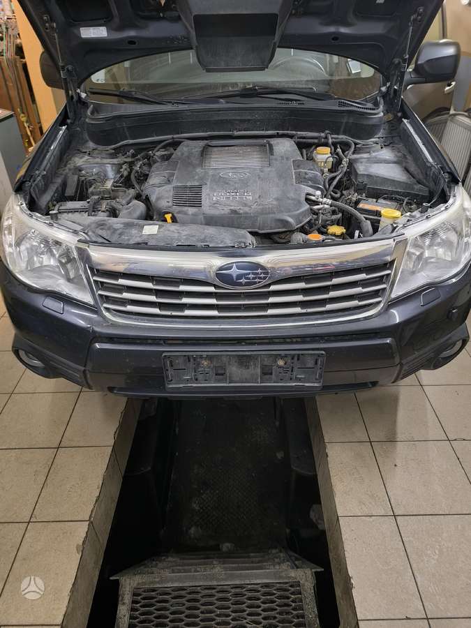 Subaru Forester, Dalimis