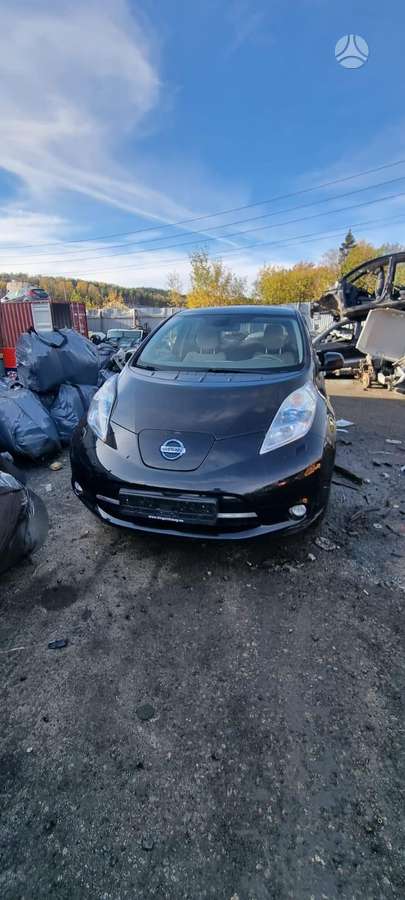 Nissan Leaf dalimis