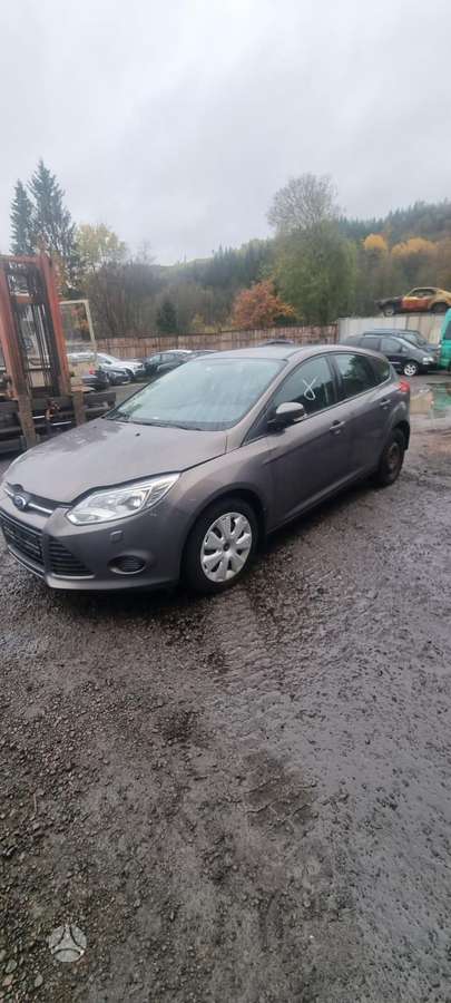 Ford Focus dalimis