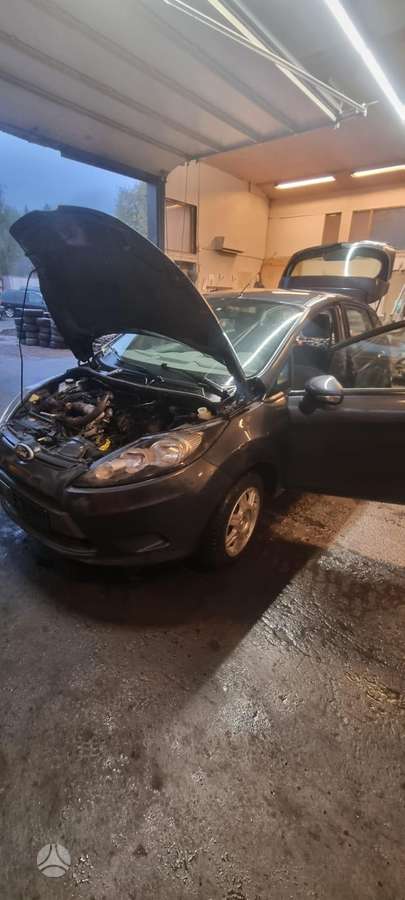 Ford Fiesta dalimis