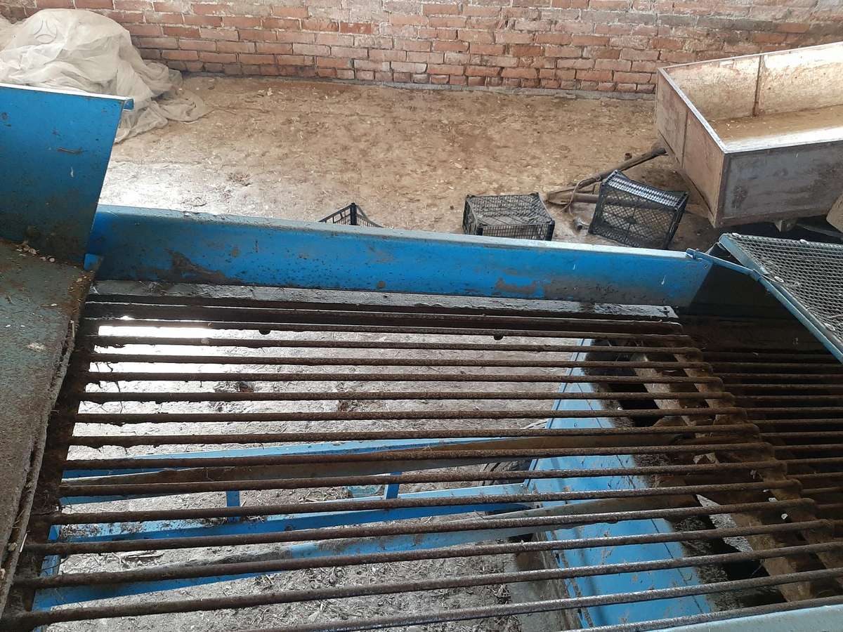 KRUKOWIAK Cibul, vegetable harvesting and processing technique