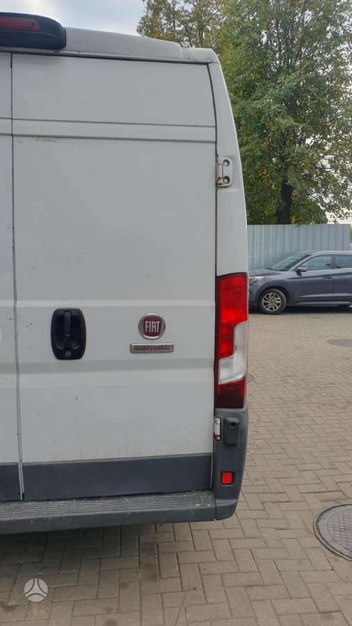 Fiat Ducato, cargo vans