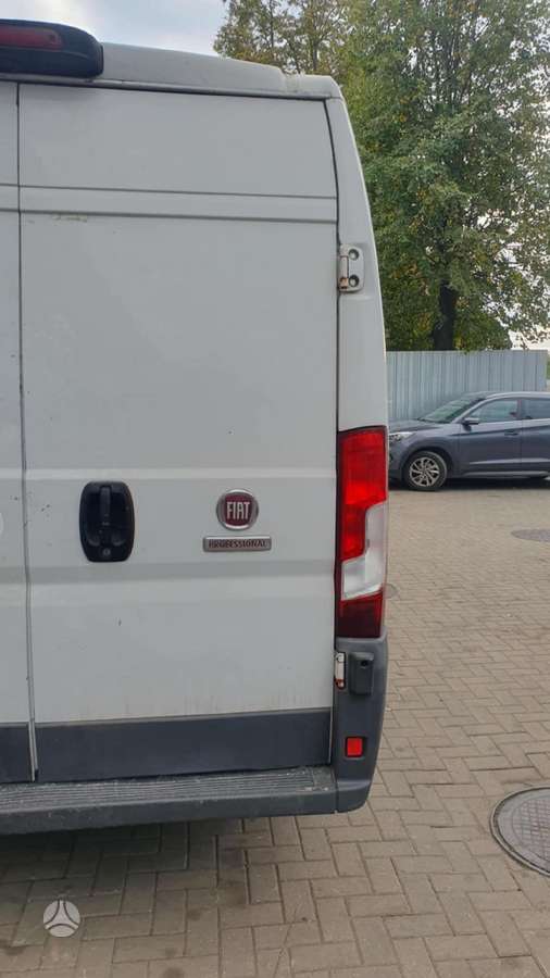 Fiat Ducato, krovininiai mikroautobusai