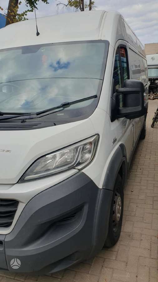 Fiat Ducato, krovininiai mikroautobusai