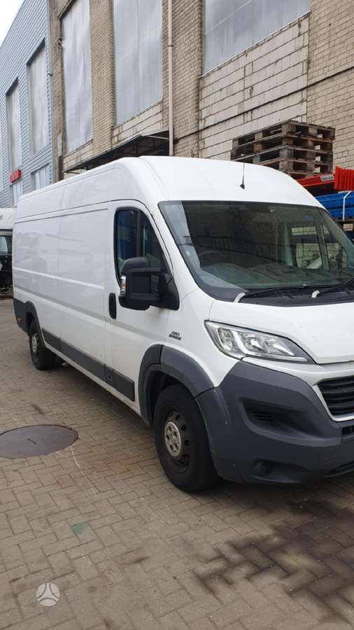 Fiat Ducato, krovininiai mikroautobusai