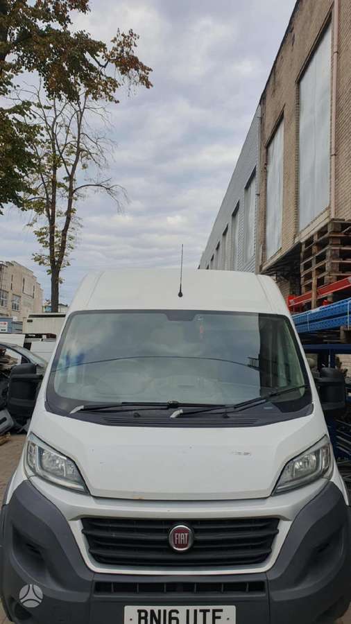 Fiat Ducato, krovininiai mikroautobusai