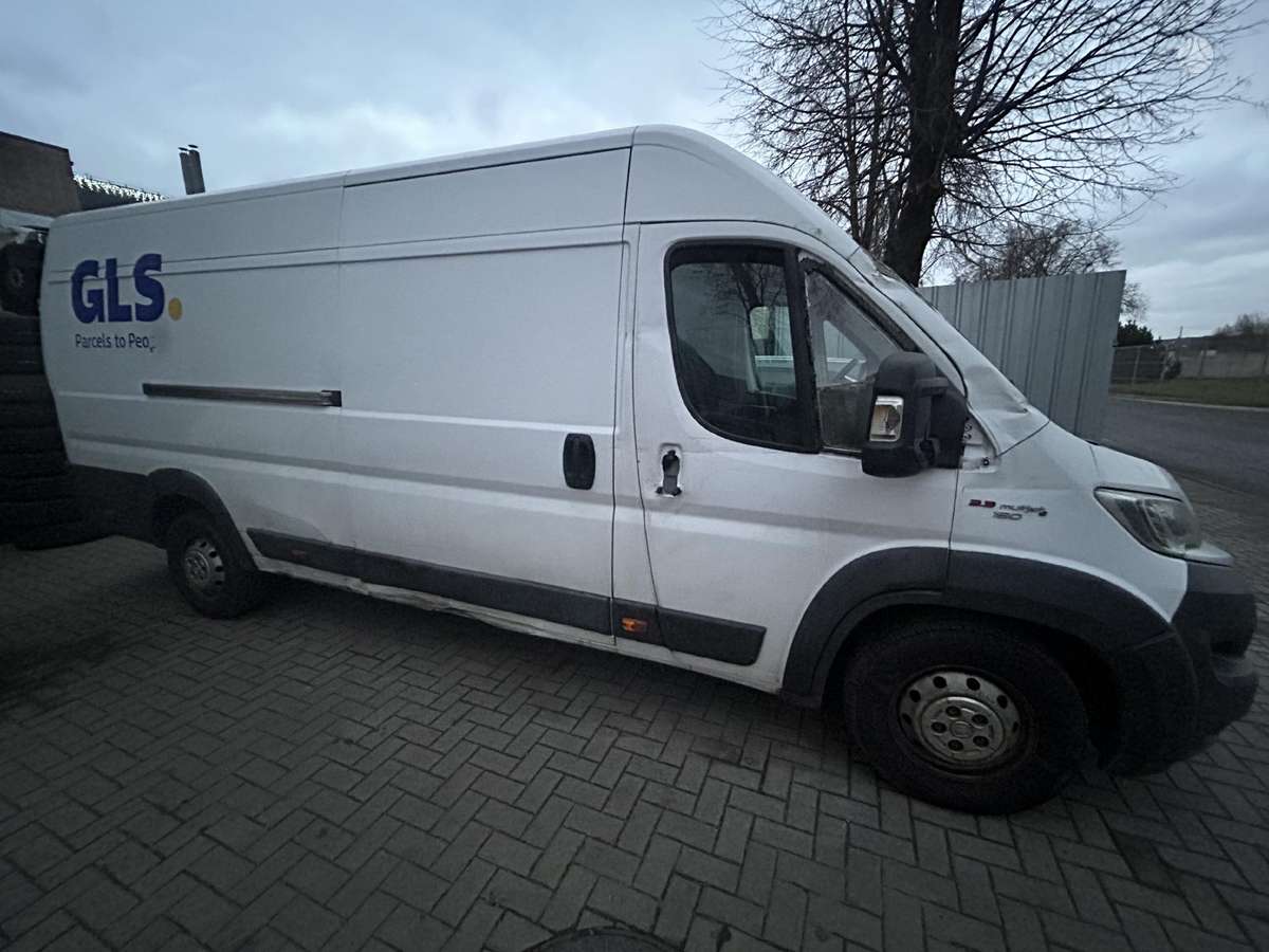 Fiat Ducato, cargo vans