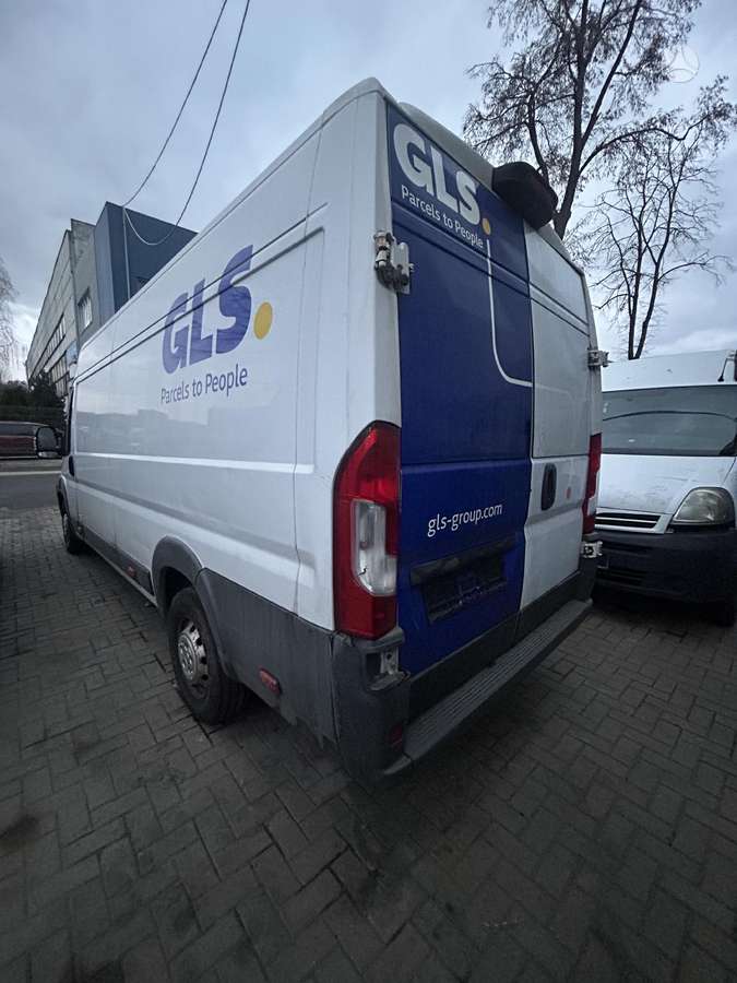 Fiat Ducato, грузовые микроавтобусы