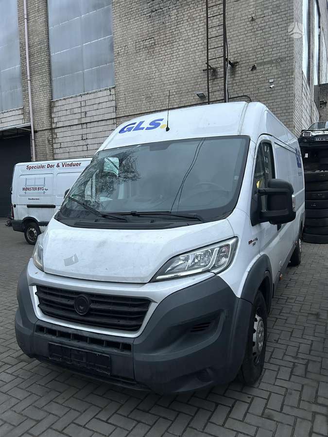 Fiat Ducato, cargo vans