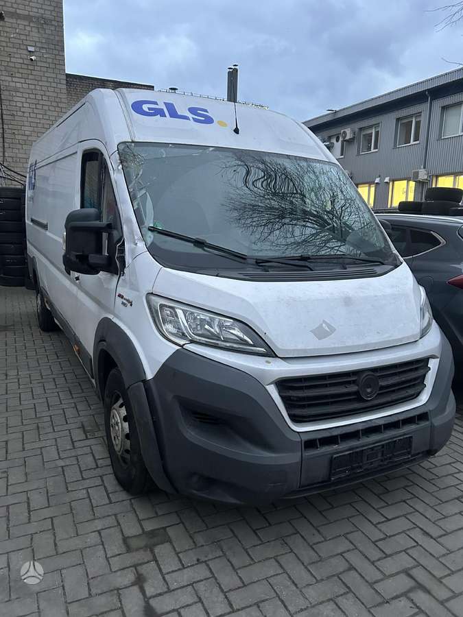Fiat Ducato, cargo vans