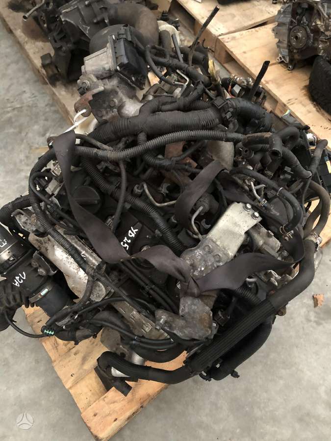 Nissan Navara, YD25, engine