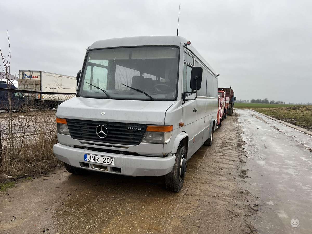 Mercedes-Benz 814, buses