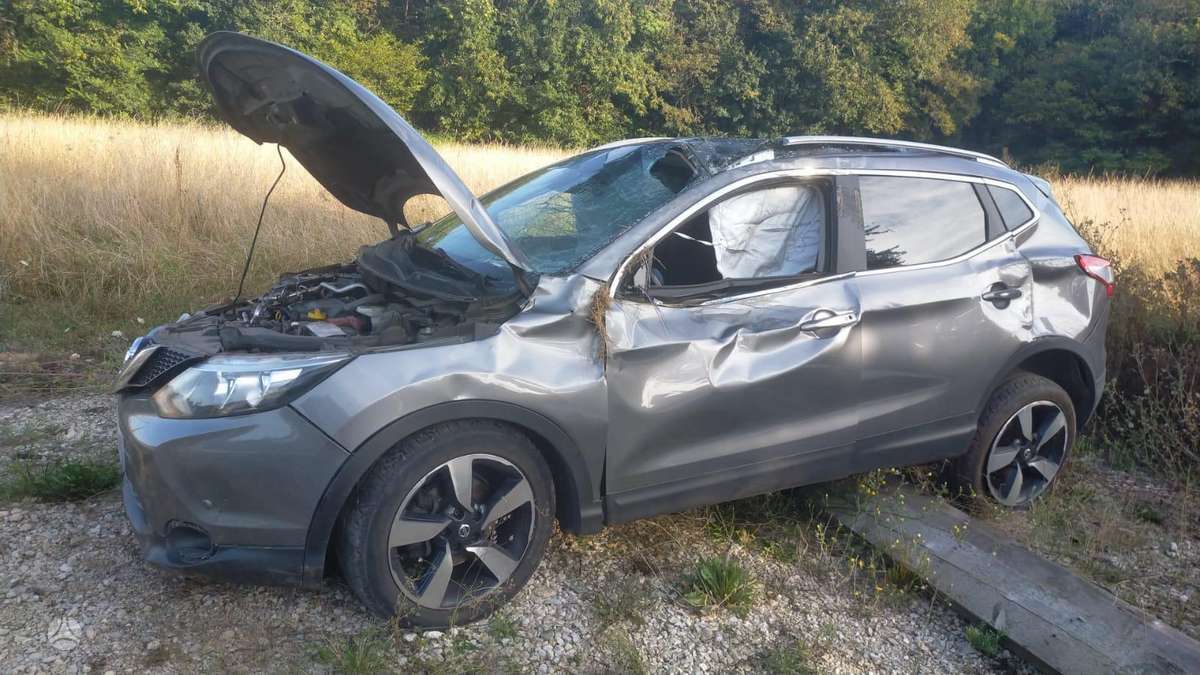 Nissan Qashqai dalimis