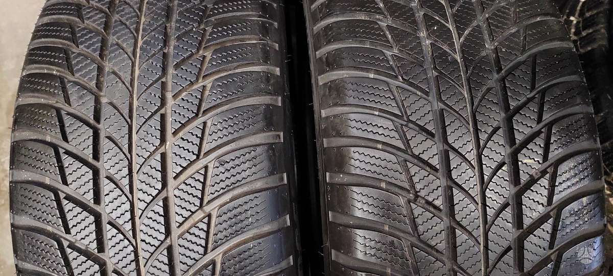 Bridgestone, winter 225/50 R17