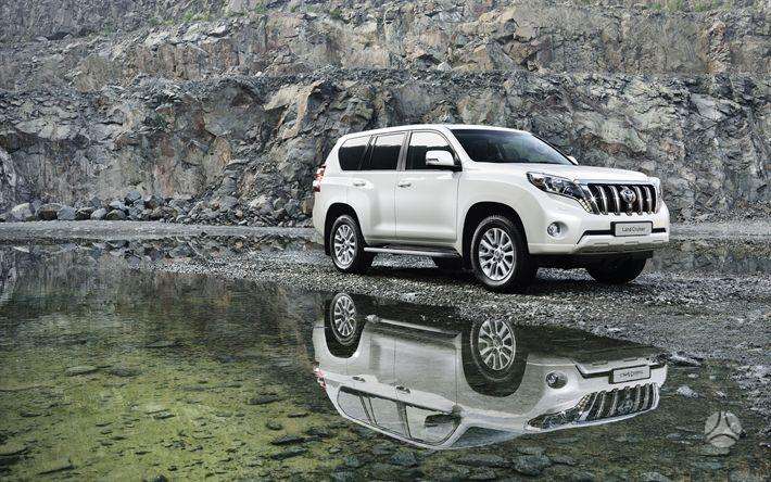 Toyota Land Cruiser dalimis