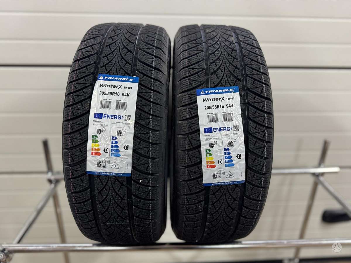 Triangle WinterX TW401 94V, winter 205/55 R16
