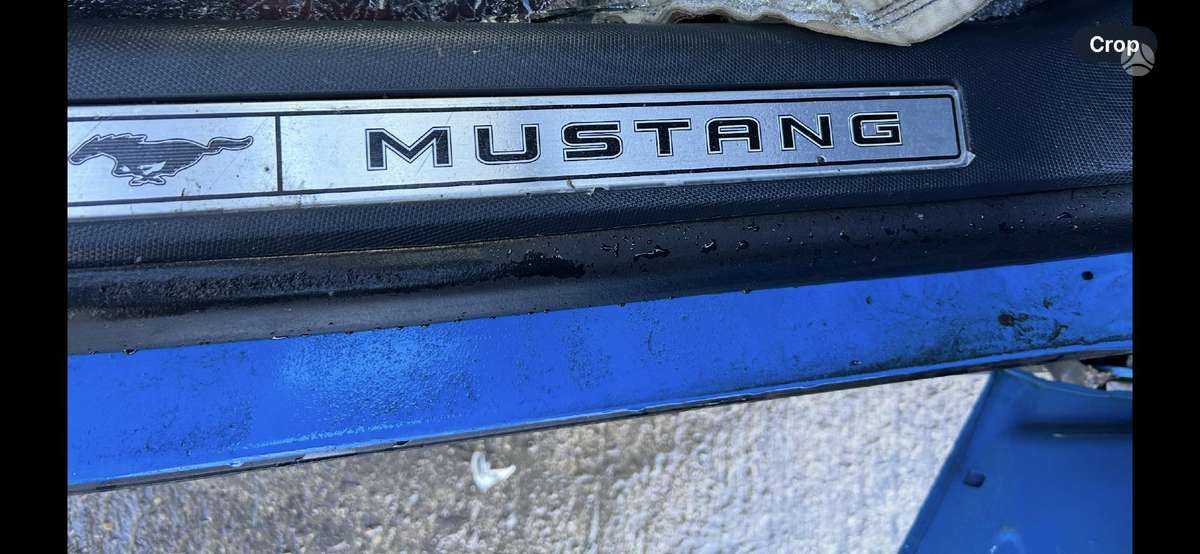 Ford Mustang Mach-E