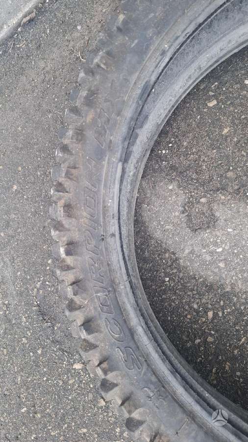 Michelin, всесезонные 120/80 R19