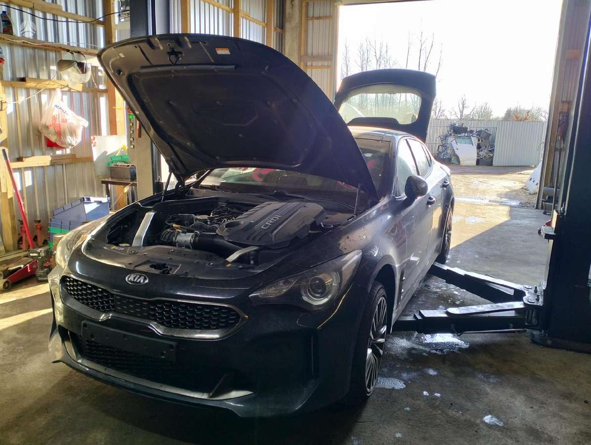Kia Stinger Europa