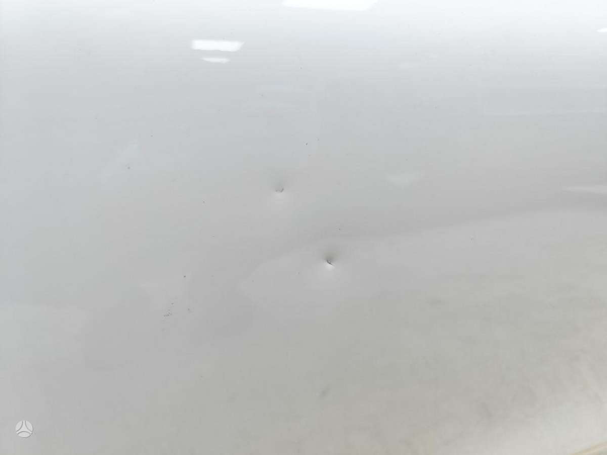 Renault Clio durvis