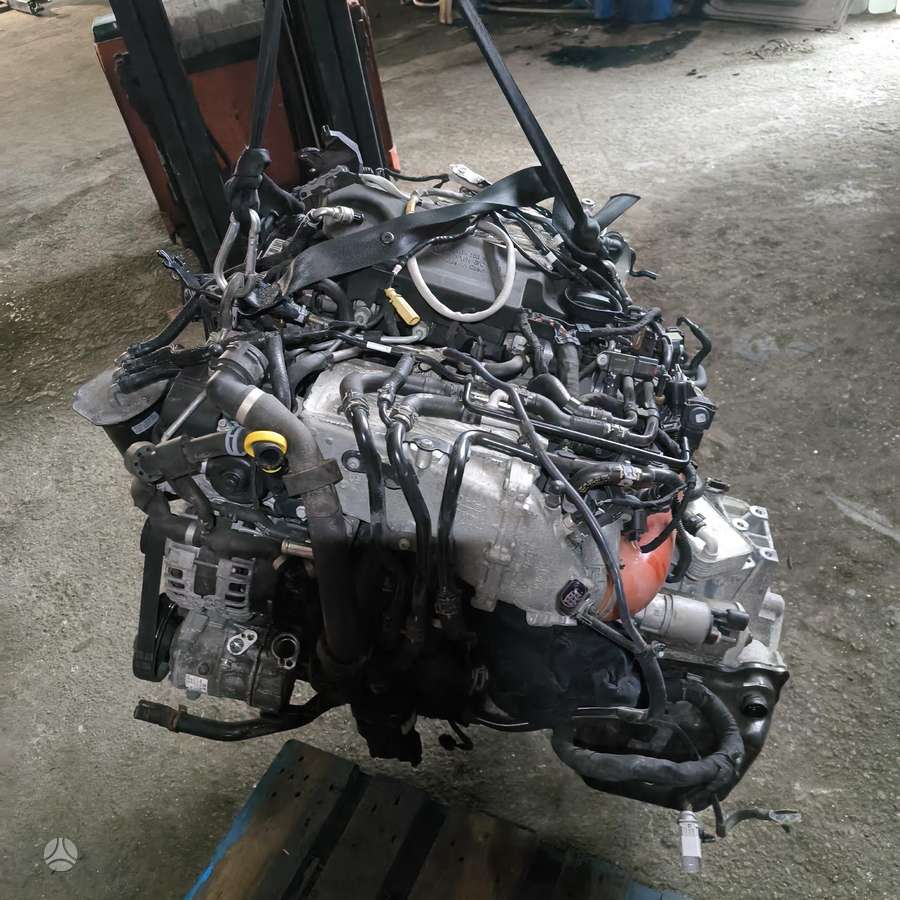 Volkswagen Passat variklio detalės