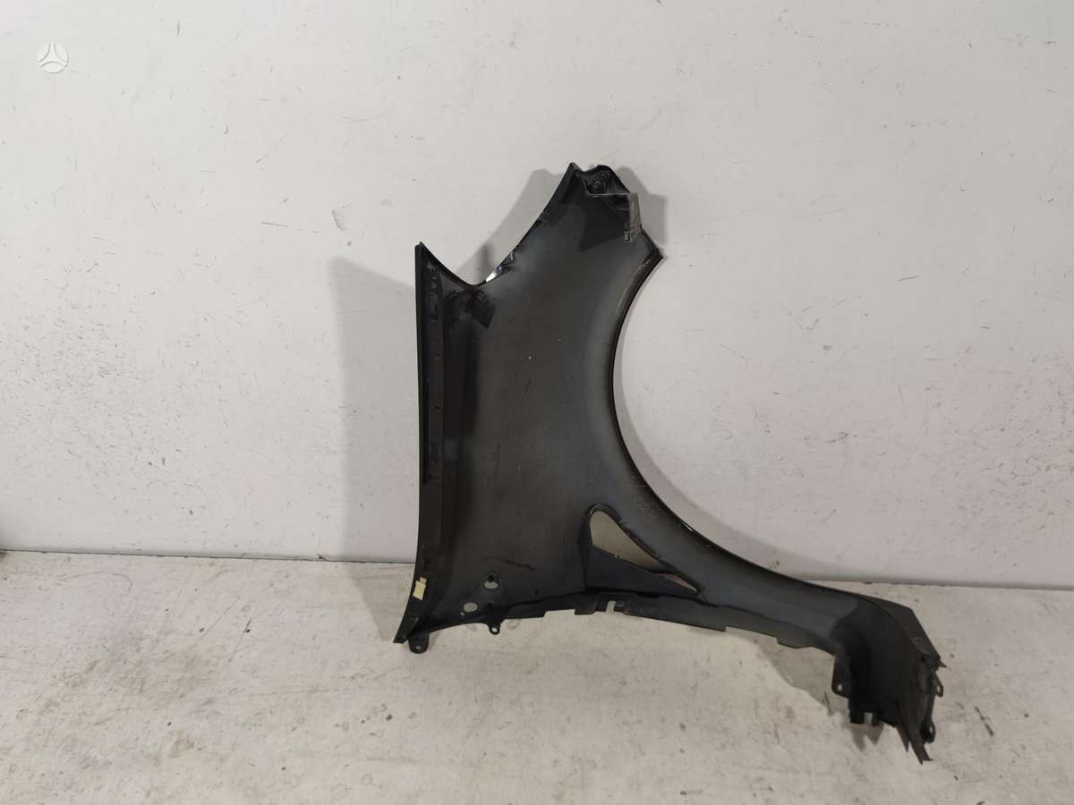 Renault Clio sparnai